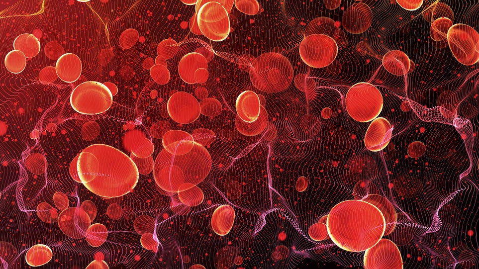 Red blood cells in travel an artery